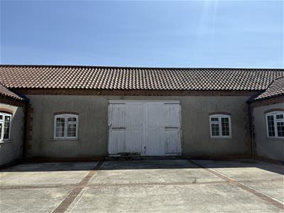 Picture 7